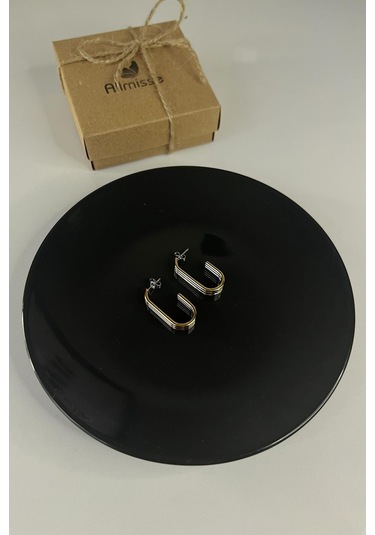 İki Renkli Gold-silver Kaplama Düz Çelik Küpe Çok Renkli