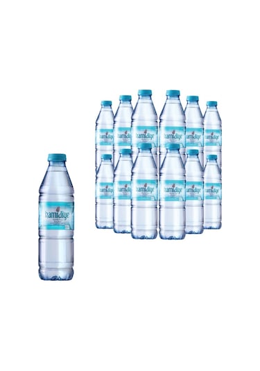 Hamidiye Su 48 x 500 ML
