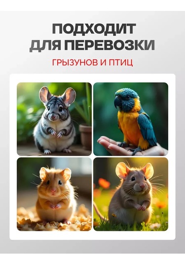Loorı Kemirgenler Ve Kuşlar İçin Taşıyıcı Mini 25x21x16 140844943