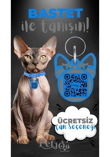 Petjoo 1.Bastet Gri-Mavi Qr'lı Kedi Künyesi