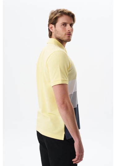 Arma Erkek Regular Fit Çok Renkli % 100 Pamuk Pike Polo Yaka Tişört Y29374355002 Sarı Arma Erkek Regular Fit Çok Renkli % 100 Pamuk Pike Polo Yaka Tişört Y29374355002 Sarı