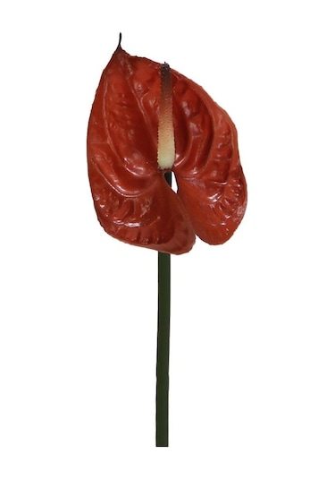 Yapay Antoryum Çiçeği Canlı Dokunuş Kahverengi 40 Cm-9976