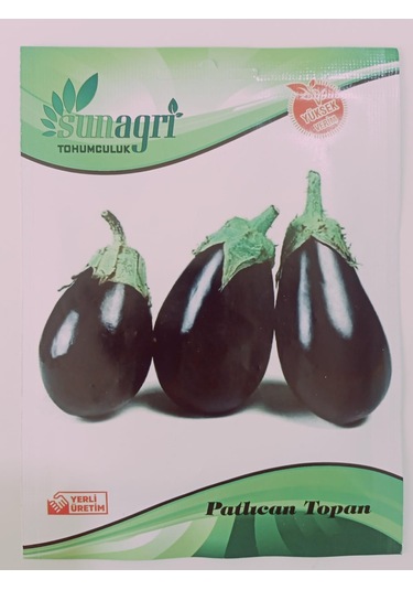 Bykurt Topan Patlıcan Tohumu - Siyah Mor Renkli, Verimli, Sofralık Ve Sanayiye Uygun Topan Patlıcan Tohumu