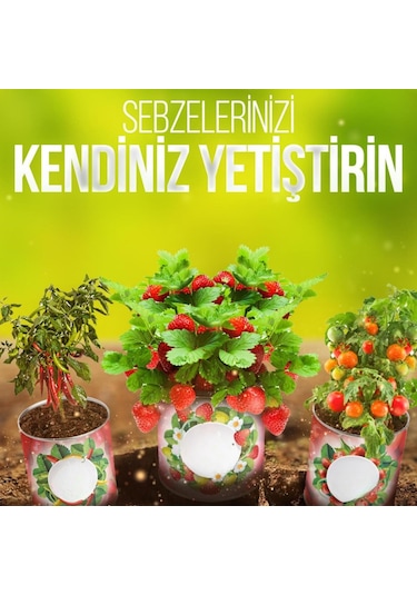 Hobibahçem Konserve Bahçem Evde Konservede Fındık Turp Yetiştirme Kiti