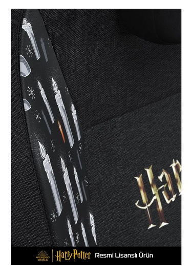 Exvega Andromeda 2025 Harry Potter Hogwarts Crest Edition Masajlı