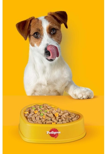Pedigree Tavuklu Konserve Köpek Yaş Mama 400 Gr X24