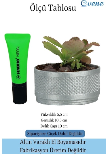 Saksı Kaktüs Saksısı Dekoratif Saksı Model 12 - Gümüş