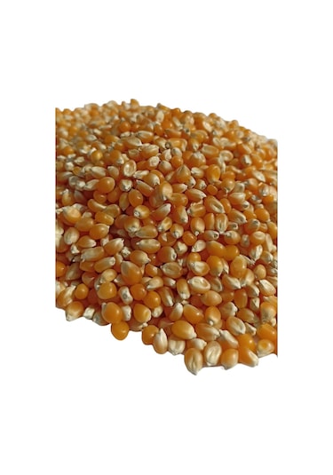 Şenler Cin Mısır Popcorn 1 KG