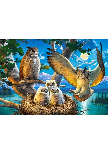 Castorland 500 Parça Baykuş Ailesi Puzzle