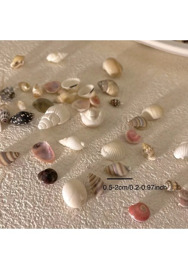 Willowhaven 120g Renkli Mini Reçin El Yapımı Deniz Kabuğu Kum Mix Akvaryum Dekor Dıy Tırnak Sanatı