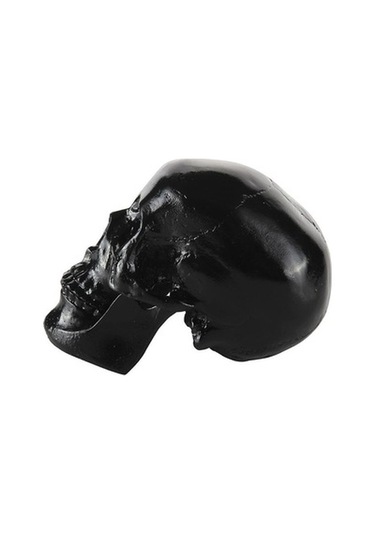 Lijinxu Reçine Çoğaltma Sanat İnsan Kafatası Modeli Parti