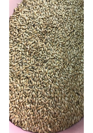 Kanarya Yemi 5 KG ( Sade )