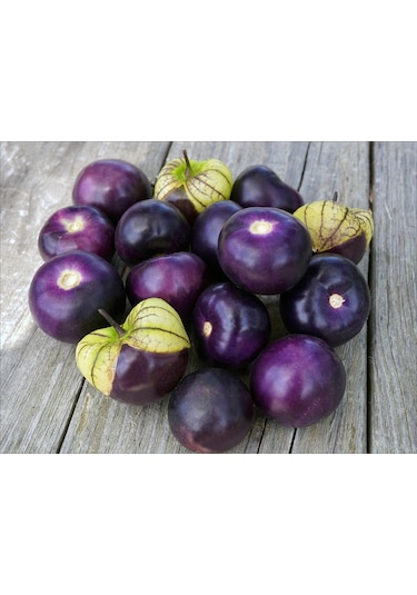 Bykurt Sunagri Mor Çilek Tohumu - 10 Adet Organik, Verimli, Lezzetli Mor Çilek Yetiştiriciliği 10 Adet