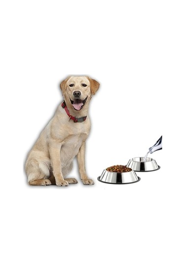 Büro Ev Ofis Evcil Pet Hayvanı İçin 34cm Paslanmaz Çelik Kedi Köpek Beslenme Mama Kabı