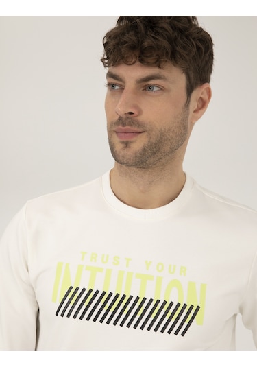 Pierre Cardin Erkek Ekru Sweatshirt 50262638-vr019 Ekru