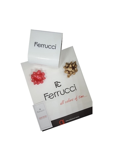 Ferrucci Function Erkek Kol Saati Çelik Kordon Gümüş-siyah Bileklik 3atm Sdfer059 Gümüş - Siyah