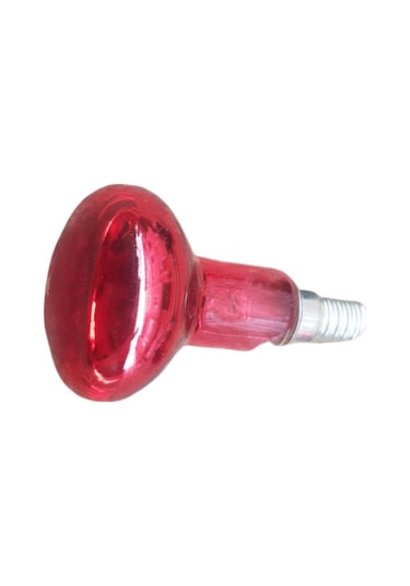 İnfi̇rared Isıtıcı Lamba 40 Watt 2 Lamba 1 Armatür Sürüngen Isıtıcı