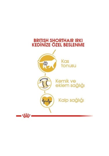 Royal Canin British Shorthair Kedilerine Özel Mama 10 KG
