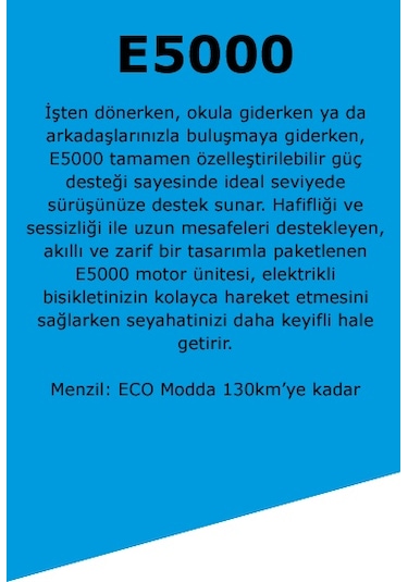 Bisan E-folding Strike 20" 9-vites Hd Katlanır Elektrikli Bisiklet Gri Siyah