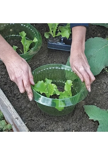 Willowhaven 10 Adet Yeşil Yeniden Kullanılabilir Sebze Salyangozu Koruma Kılıfı