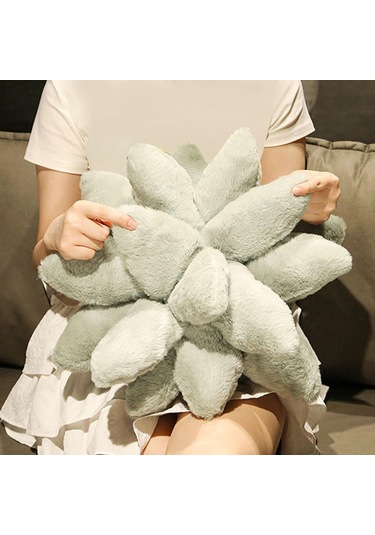 Suntek Succulents Yastık Uyku Yastığı Bitki Yastıkları Oda