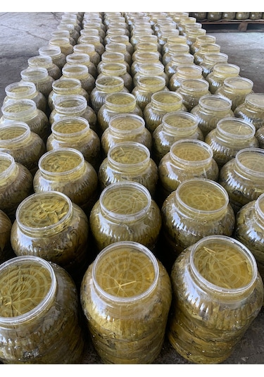 Gustolea Nature Manisa Sultaniye İlk Hasat İnce Damarsız Salamura Uç Asma Yaprağı 2025  Yeni Sezon