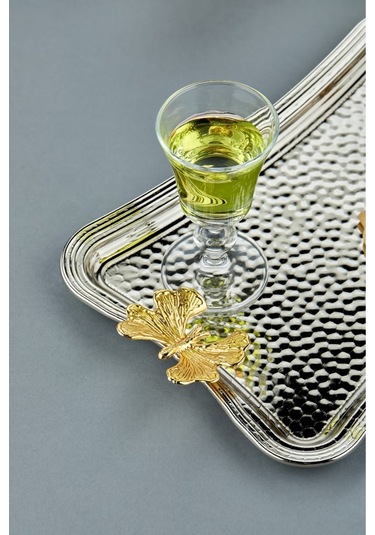 Cooker Özel Lüx Dikdörtgen Paslanmaz Çelik Tepsi 26 Cm Metalik