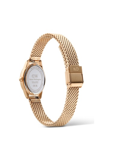 Daniel Wellington Dw00600940 Kadın Kol Saati Diğer