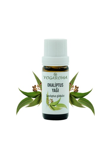 Npo Yogaroma Ferahlatıcı Aromaterapi 10ml Saf Ve Doğal Okaliptus Uçucu Yağ 10 ML