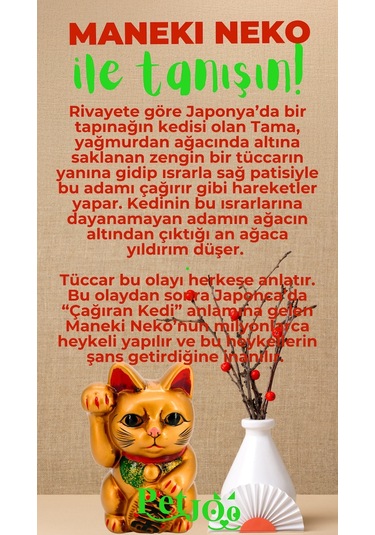 Petjoo 4.Maneki Neko Yeşil-Kırmızı Qr'lı Kedi Künyesi