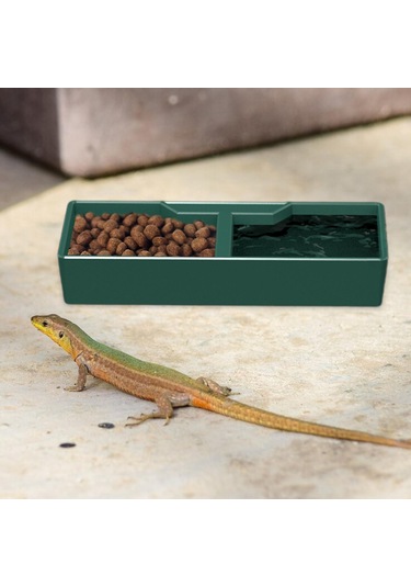 Homyl Besleme Kabı Su Tabağı Amfibi Aksesuarları Çok