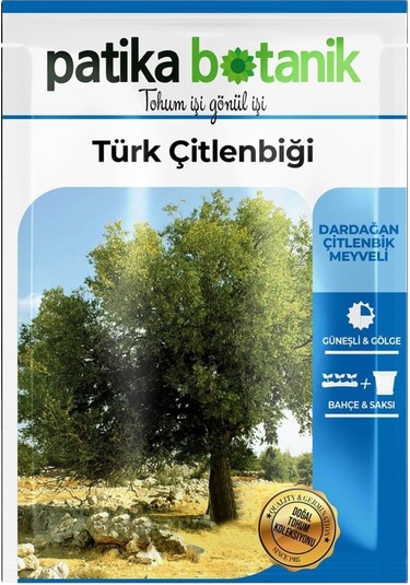 10 Adet Türk Çitlenbiği Ağaç Tohumu