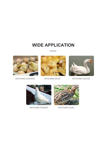 Xindoker Zfx-w9002 Sıcaklık Ve Nem Kontrol Cihazı, 12v, 0 110 , 1-99% Nem Aralığı, 0.1 Hassasiyet