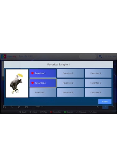 Duplexplay Media Player 1 Yıllık Kullanım Gift Lisansı Online Teslimat