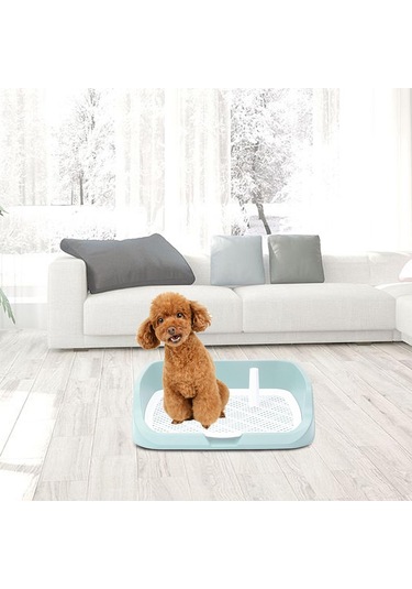 Homyl Yıkanabilir Pet Eğitim Tuvalet Tepsisi Lazımlık Yeşil