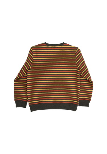 Erkek Çocuk Recycle Pamuk Çizgili Sweatshirt 001 Çok Renkli
