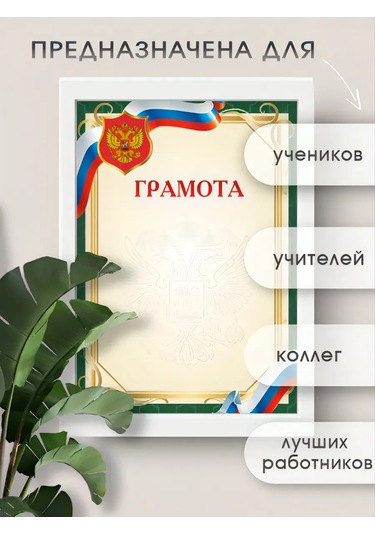 Pro Bel Armalı Belge Seti 100 Ad 360509288