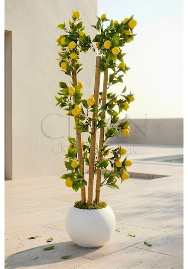 Cihan Çiçekçilik Yapay Limon Bambu Ağacı - Beyaz Küre Saksılı 100 Cm