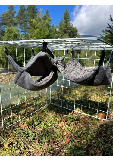 Gryzun Mata Hammock Kareli Ya Da Evcil Hamster, Sıçan, Kemirgenler İçin 176601315