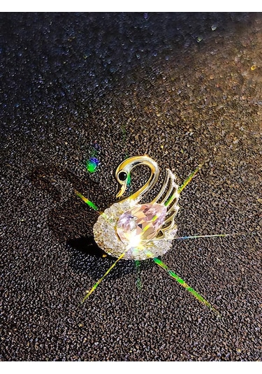 Bijoubijou Kadınlar İçin Broşlar 2 Adet Kuğu 250557527 Altın Rengi