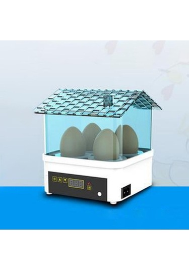 Pazly Yumurta Tavuk Suntek Makinesi Makinesi Kuluçka Kuluçka Dijital Ys