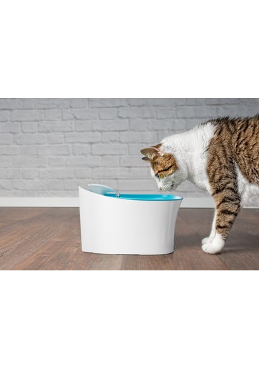 River World Köpekler İçin Su Kabı Otomatik Uyarılı