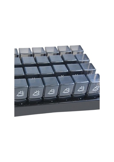 Pazly Vitamin Suntek Kez Için Hap Günde Düzenleyici Büyük Aylık 2 Gr Diğer