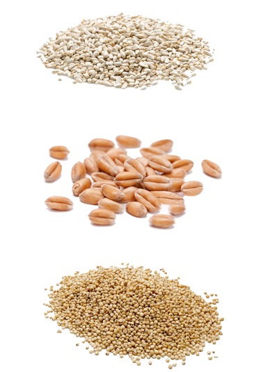 İpek Değirmen 3 Kg Premium Güvercin Yemi Sorgum Aspir Kara Buğday