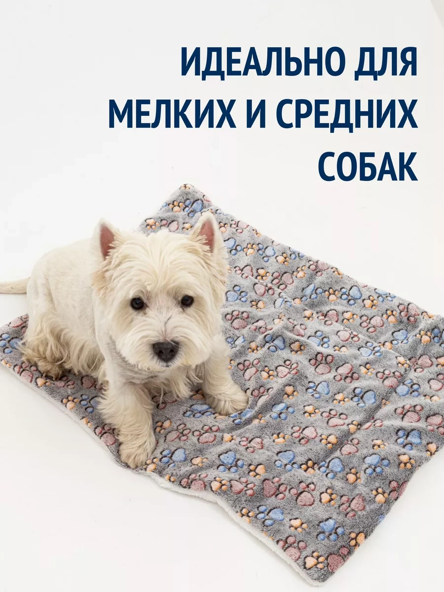 Tcallini Pets Küçük Ve Orta Boy Irklar İçin Köpek Yatağı, 80 60 Cm 179677158