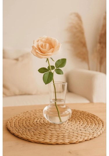 500 Ml Isıya Dayanıklı Borosilikat Cam Vazo / Mumluk / Sunum Bardağı Minimalist Tasarım Şeffaf