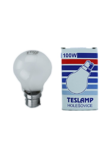 Teslamp 100W 240V 2800K B22 A60 Buzlu Cam Halojen Ampul 5 Adet
