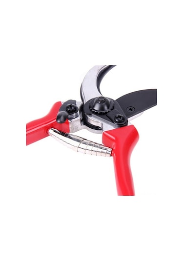 Pazly Meyve Makası, Makası, Makası Budama Budama Bahçe Ağaçları Cq