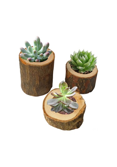 Hombey El Yapımı Ahşap Mumluk Seti 3 Boyut - Ev Ve Bahçe Dekorasyonu İçin Doğal Odun Çeşitleriyle Hazırlanmış