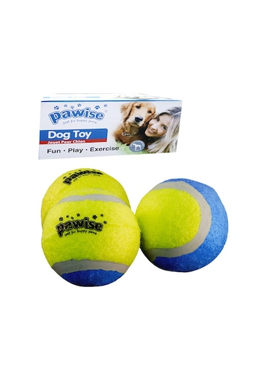 Pawise Köpek Oyuncağı Tenis Topu 6.5 CM